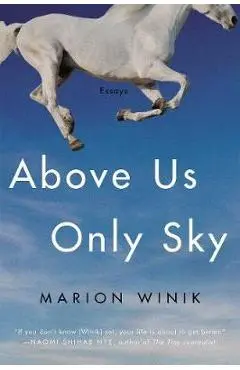 Above Us Only Sky: Essays - Marion Winik