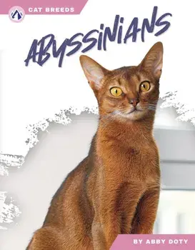 Abyssinians, Hardback/Abby Doty