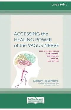 Accessing the Healing Power of the Vagus Nerve: Self-Exercises for Anxiety, Depression, Trauma, and Autism (16pt Large Print Edition) - Stanley Rosenberg
