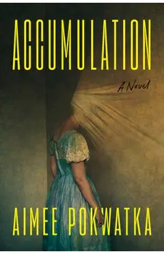 Accumulation - Aimee Pokwatka