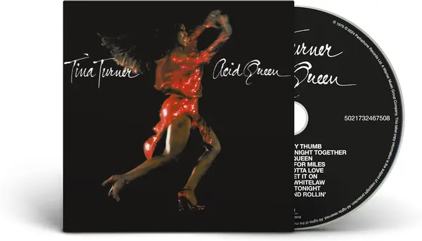 Acid Queen | Tina Turner