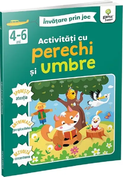 Activitati cu perechi si umbre. Invatare prin joc 4-6 ani