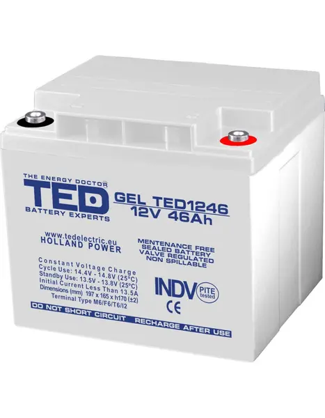 Acumulator GEL Deep Cycle 12V 46Ah VRLA, terminal M6, 197×166×171 mm, TED Battery Expert Holland TED003454