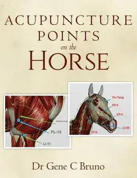 Acupuncture Points on the Horse, Paperback/Dr Gene C. Bruno