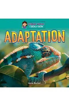 Adaptation - Irene Barker