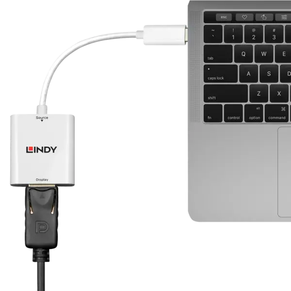 Adaptor USB 3.1-C la Displayport 4K60Hz T-M alb, Lindy L43245*