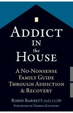 Addict in the House: A No-Nonsense Family Guide Through Addiction and Recovery - Robin Barnett