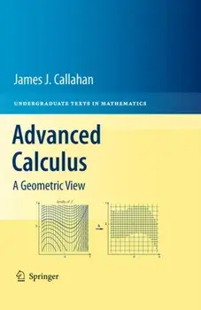 Advanced Calculus. A Geometric View, Hardback/James J., Jr. Callahan