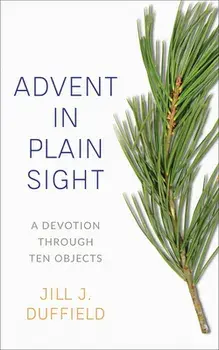 Advent in Plain Sight, Paperback/Jill Duffield
