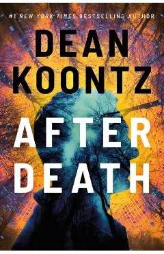 After Death - Dean Koontz