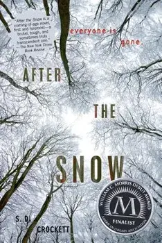 After the Snow, Paperback/S. D. Crockett