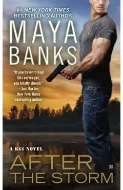 After the Storm - Maya Banks