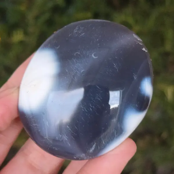 Agat Orca palmstone model 7