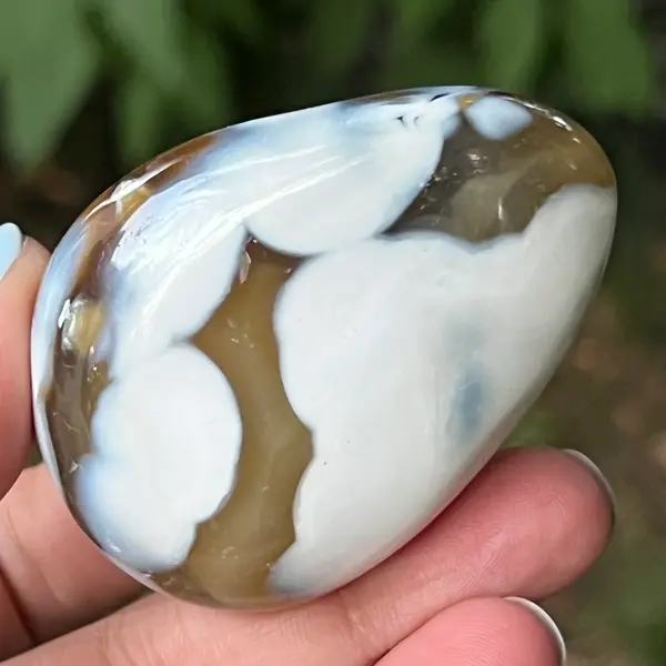 Agat Orca palmstone model 8