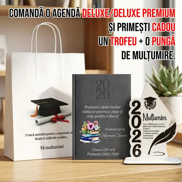 Agenda personalizata 2026 Doamna Profesoara AP30 DELUXE PREMIUM, Bard Gri