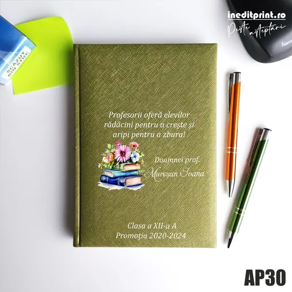 Agenda personalizata 2026 Doamna Profesoara AP30 NEDATATA RT, Verde-Adria