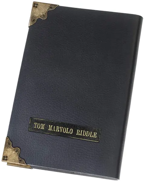 Agenda The Noble Collection Movies: Harry Potter - Tom Riddle