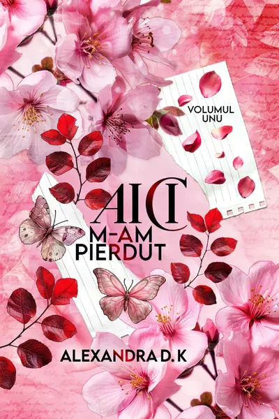 Aici m-am pierdut