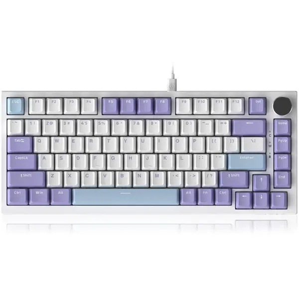 Ajazz Tastatura mecanica cu fir AJAZZ AK820, iluminare de fundal RGB, compatibila cu HOT-SWAP, comutator Sea Salt, Violet-Alb-Albastru