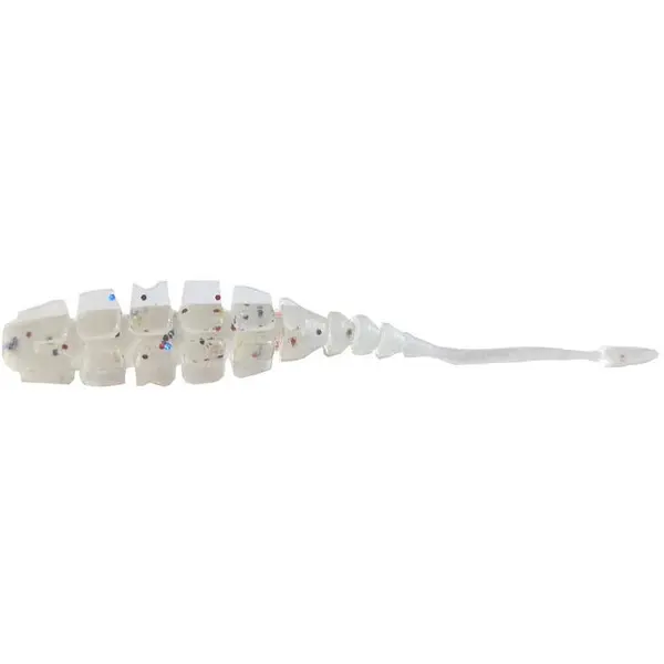 Aji Worm Naf Naf 5cm Lum Meli Melo