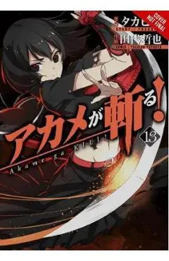 Akame ga Kill!, Vol. 13 - Takahiro