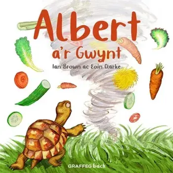 Albert a'r Gwynt, Paperback/Ian Brown