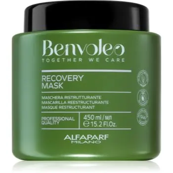 Alfaparf Milano Benvoleo Recovery Masca regeneratoare pentru par deteriorat