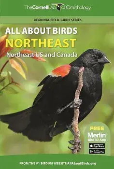 All about Birds Northeast: Northeast Us and Canada, Paperback/Cornell Lab Of Ornithology