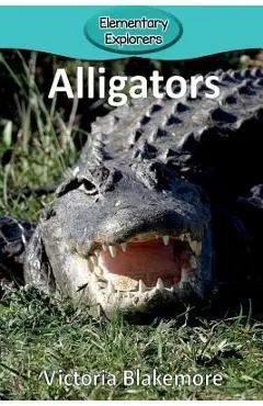 Alligators - Victoria Blakemore