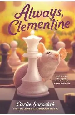 Always, Clementine - Carlie Sorosiak