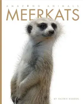 Amazing Animals: Meerkats, Paperback/Valerie Bodden