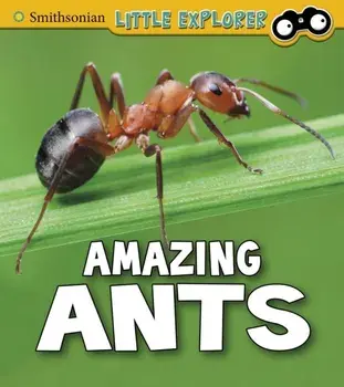 Amazing Ants, Paperback/Megan Cooley Peterson