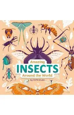 Amazing Insects Around the World - Dgph Stufio