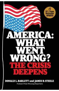 America: What Went Wrong? The Crisis Deepens - Donald L. Barlett