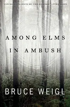 Among Elms, in Ambush, Paperback/Bruce Weigl