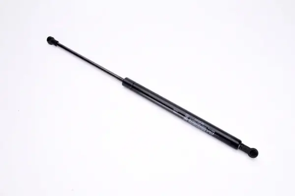 Amortizor portbagaj, haion, spate RENAULT MEGANE SCENIC, SCENIC I 1998-2003