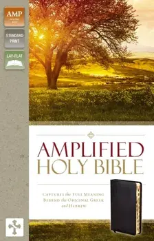 Amplified-Am: Captures the Full Meaning Behind the Original Greek and Hebrew, Hardcover/Zondervan