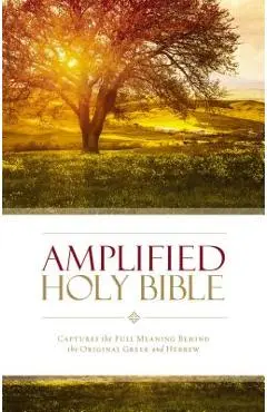 Amplified Bible-Am: Captures the Full Meaning Behind the Original Greek and Hebrew - Zondervan
