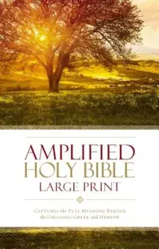 Amplified Bible-Am-Large Print: Captures the Full Meaning Behind the Original Greek and Hebrew, Hardcover/Zondervan