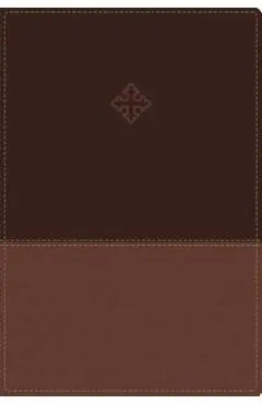Amplified Study Bible, Imitation Leather, Brown, Indexed - Zondervan