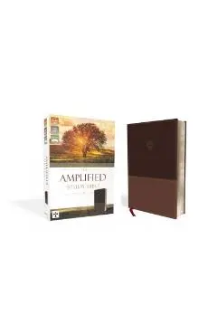 Amplified Study Bible, Imitation Leather, Brown - Zondervan