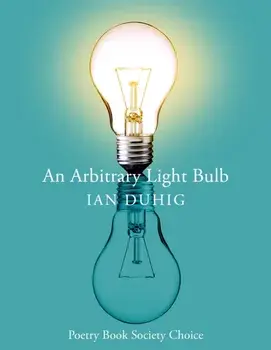 An Arbitrary Light Bulb, Paperback/Ian Duhig