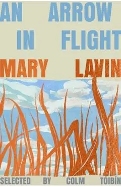 An Arrow in Flight: Selected Stories of Mary Lavin - Mary Lavin