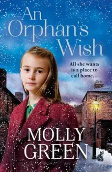 An Orphan's Wish, Paperback/Molly Green