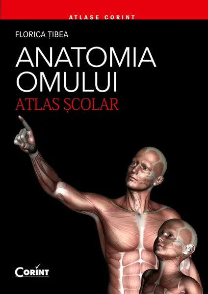 Anatomia omului. Atlas şcolar