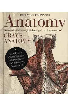 Anatomy
