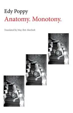 Anatomy. Monotony. - Edy Poppy