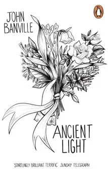 Ancient Light, Paperback/John Banville
