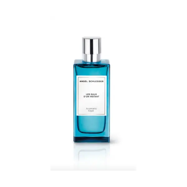 Angel Schlesser Aromatic Sage Apă de toaletă pentru Bărbați Tester EDT Volum 100 ml