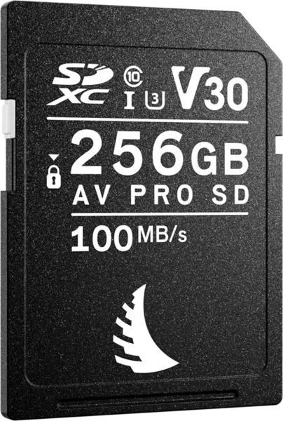 Angelbird SD AV PRO SDXC, SD 6.1, UHS-I, R100/W92 (V30) 256GB, Card memorie